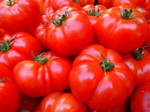 jak sadzić pomidory